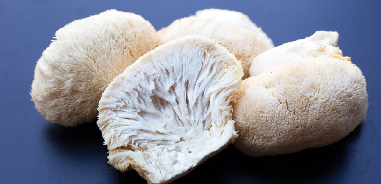 benefits of growing mushrooms