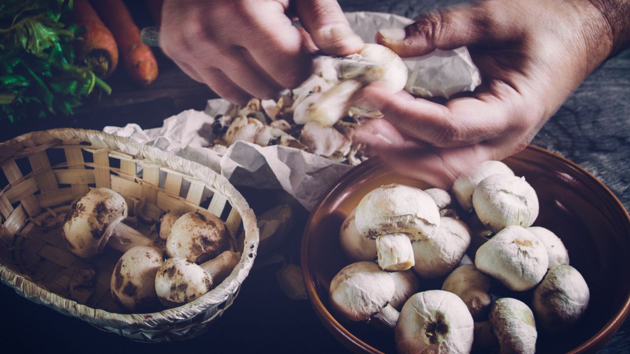 how to bake stuffed mushrooms 