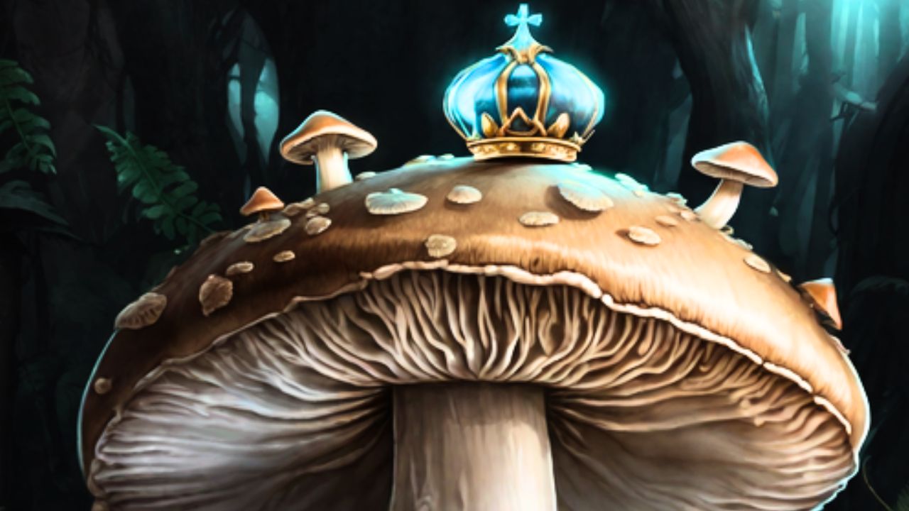 Is there a king mushroom?