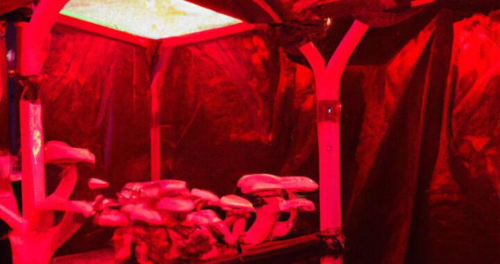 best mushroom grow tent